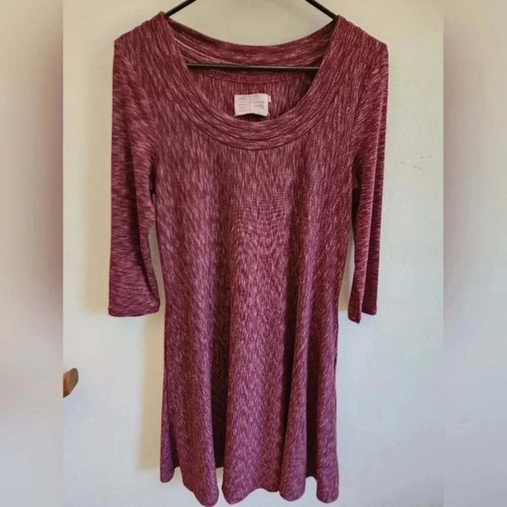 Anthropologie Saturday Sunday Dress